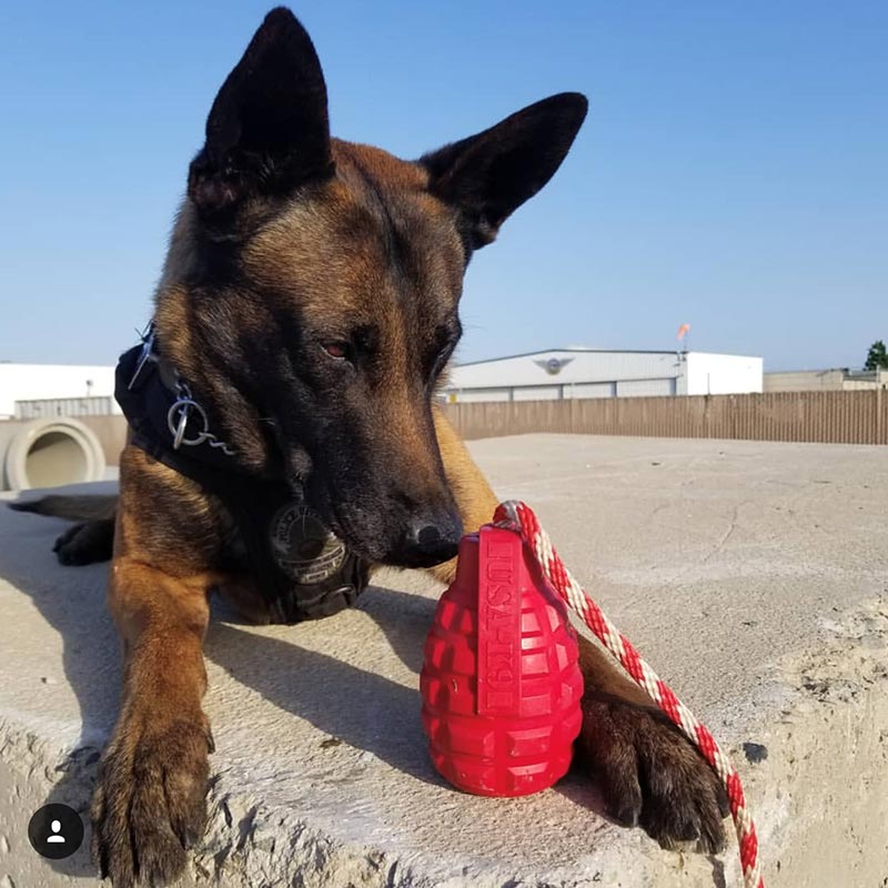 Sodapup USA K9 Grenade Reward Large – Red