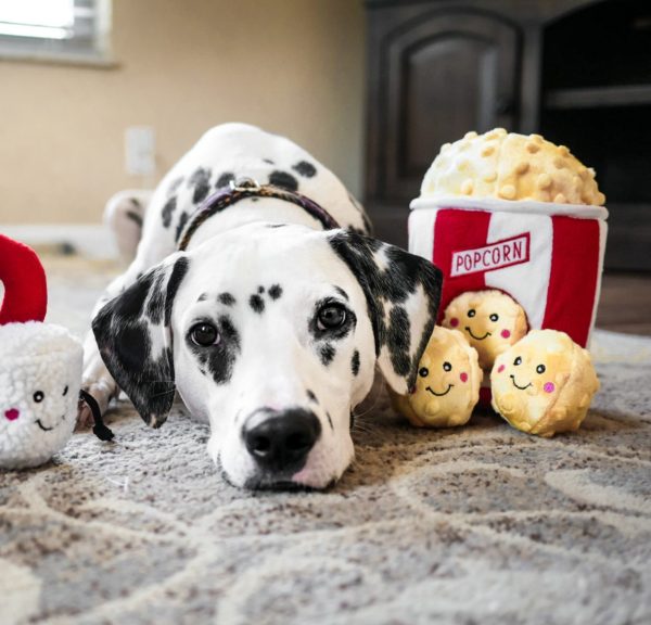 ZippyPaws Popcorn Bucket